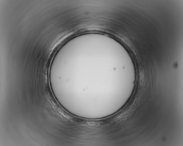 X0000116380782200912161500