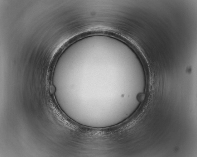 X0000116380783200912161500