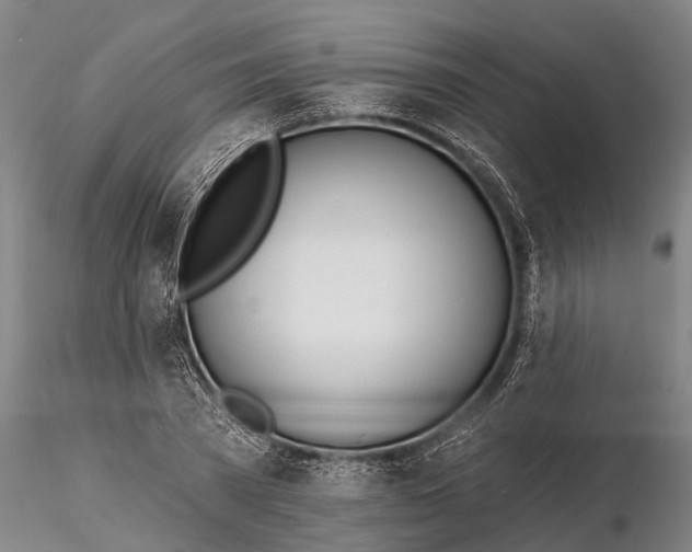 X0000116380785200912161500