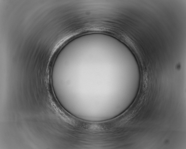 X0000116380787200912161500