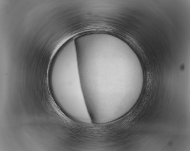 X0000116380788200912161500