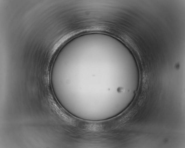 X0000116380789200912161500