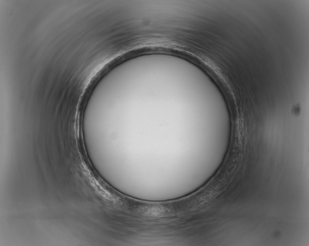 X0000116380791200912161500