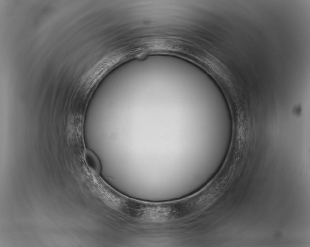 X0000116380793200912161500