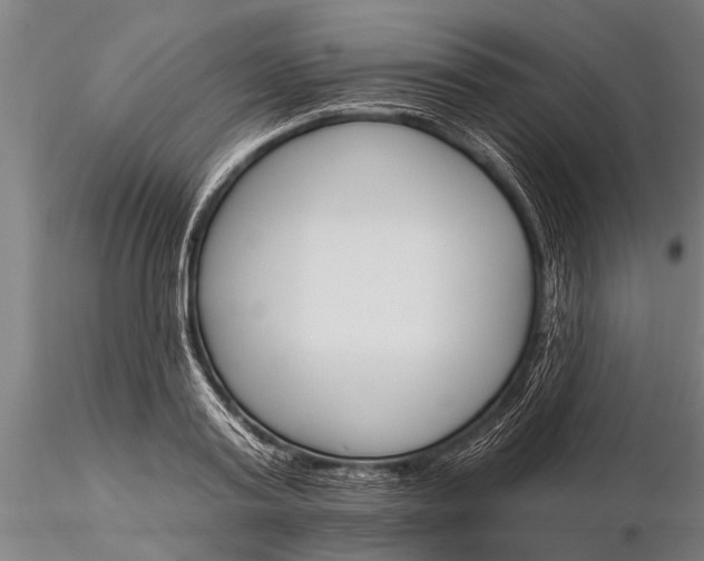 X0000116380795200912161500