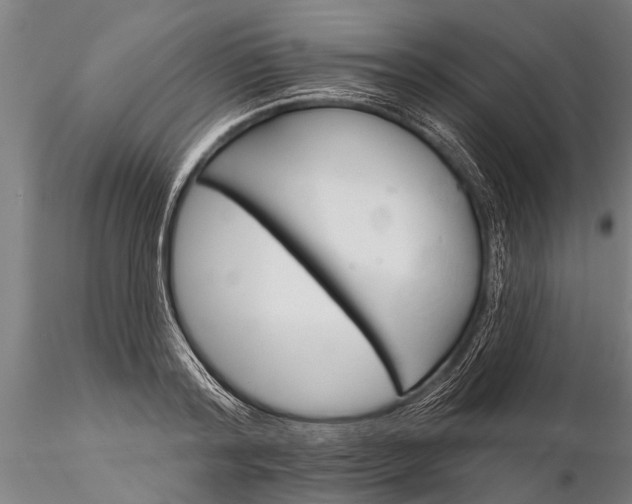 X0000116380796200912161500