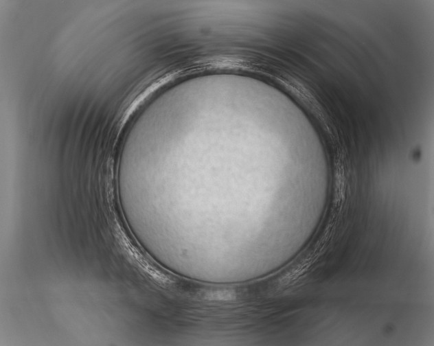 X0000116380798200912161500