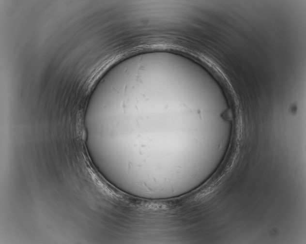 X0000116380801200912161500