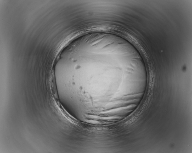 X0000116380802200912161500