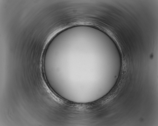 X0000116380803200912161500
