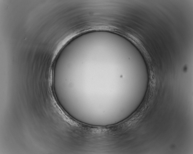 X0000116380804200912161500