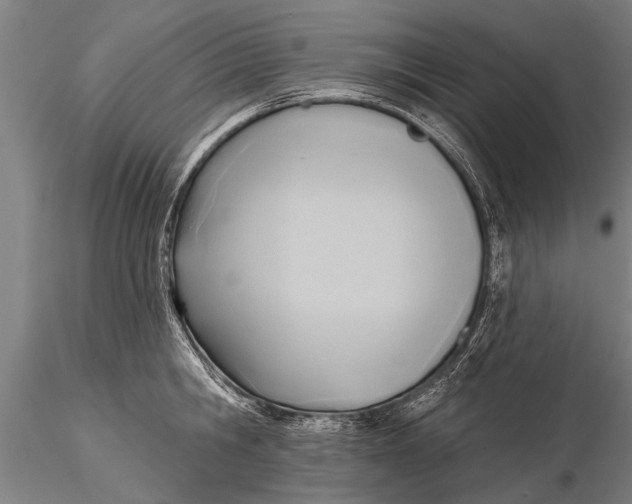 X0000116380806200912161459
