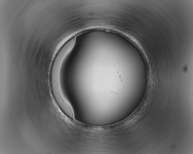 X0000116380807200912161459