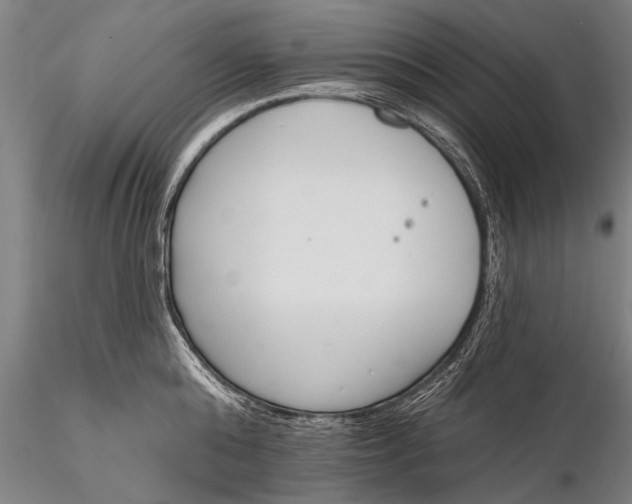 X0000116380808200912161459