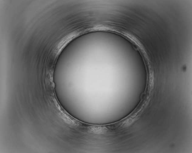 X0000116380809200912161459