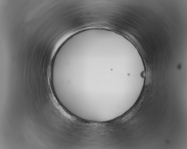 X0000116380812200912161459