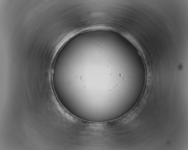 X0000116380813200912161459
