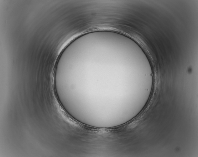X0000116380814200912161459