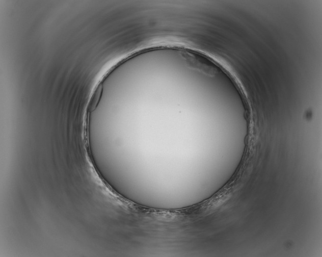 X0000116380815200912161459