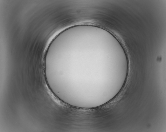 X0000116380816200912161459