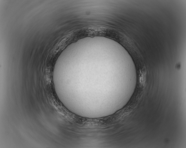 X0000116380819200912161459