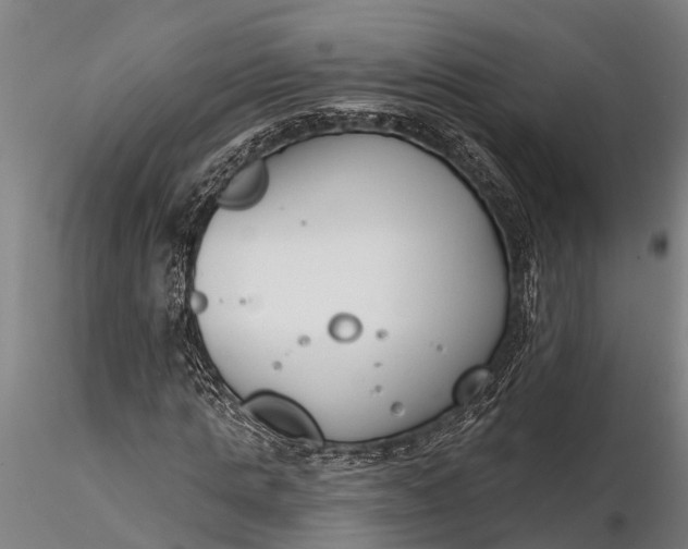 X0000116380821200912161459