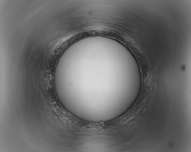 X0000116380822200912161459