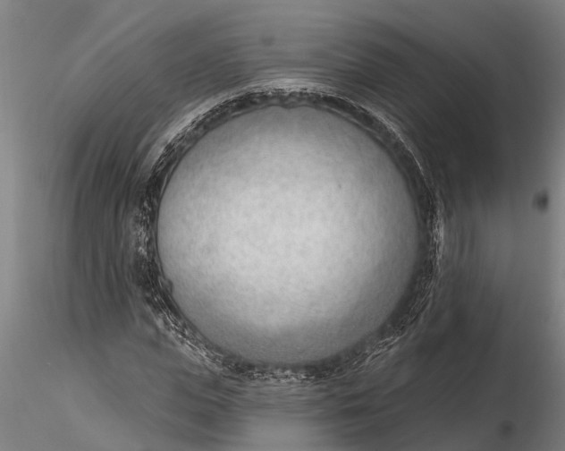 X0000116380823200912161459