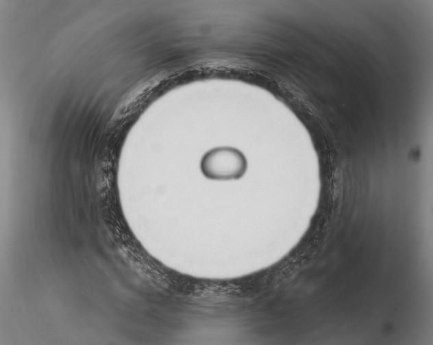 X0000116380824200912161459