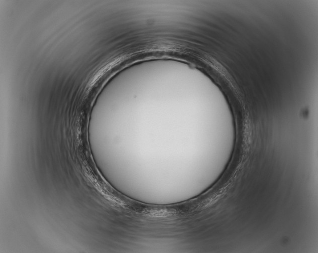 X0000116380826200912161459