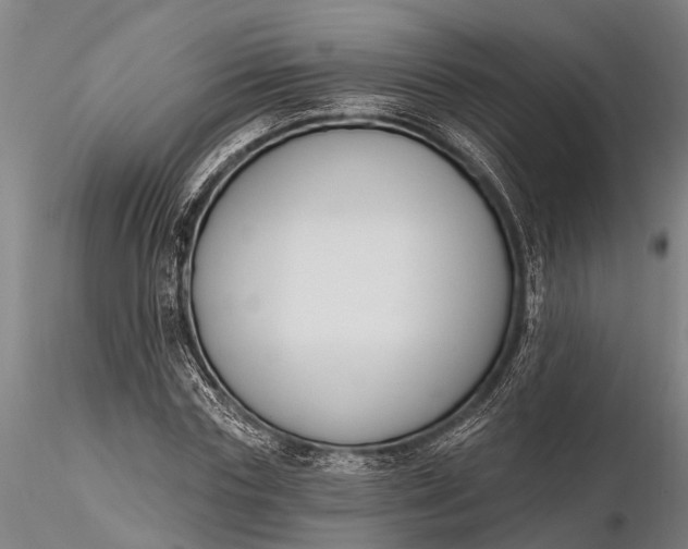 X0000116380827200912161459