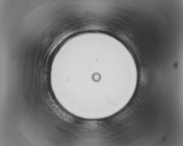 X0000116380828200912161459