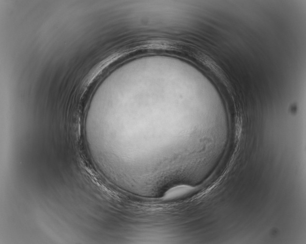 X0000116380829200912161459
