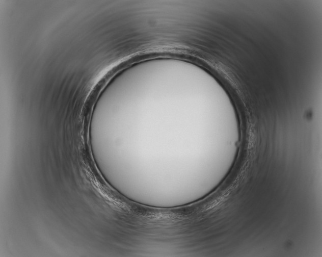 X0000116380830200912161459