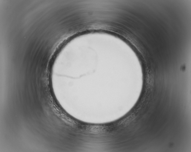 X0000116380832200912161459