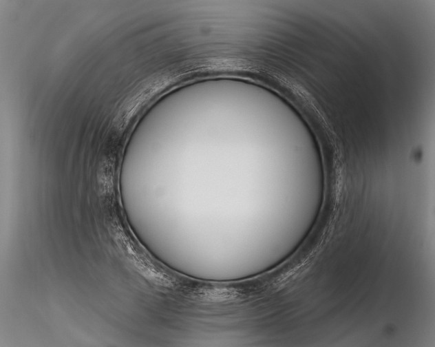 X0000116380833200912161459