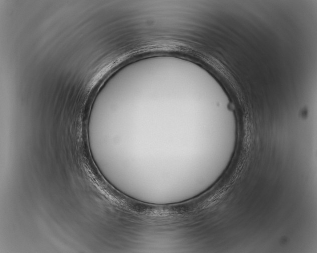 X0000116380834200912161459