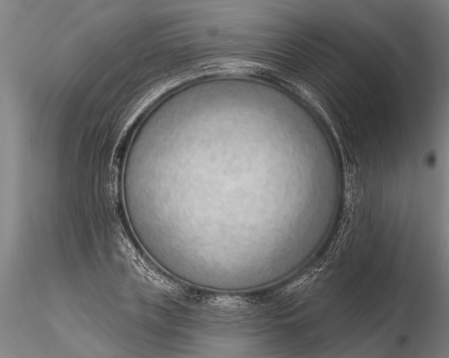 X0000116380835200912161459