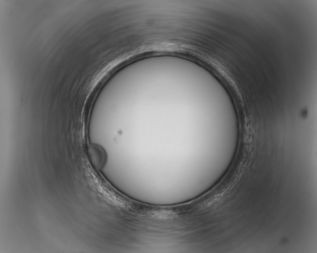 X0000116380837200912161459