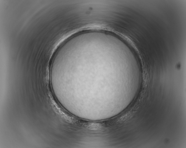 X0000116380839200912161459