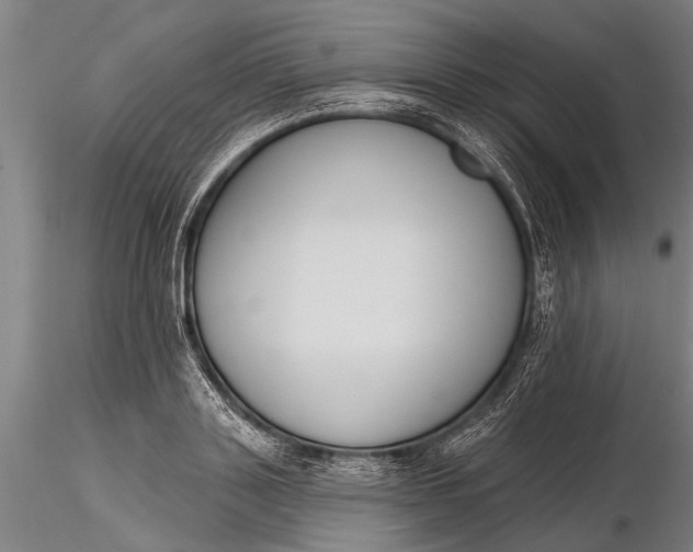 X0000116380843200912161459
