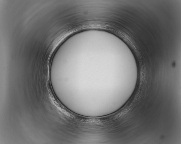 X0000116380844200912161459
