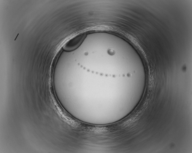 X0000116380845200912161459