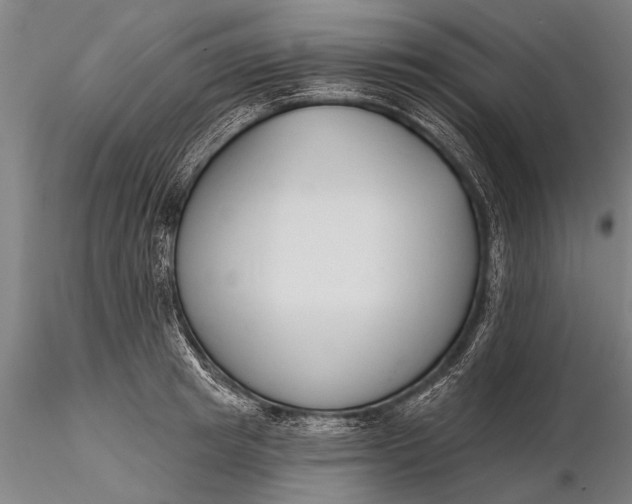 X0000116380849200912161459