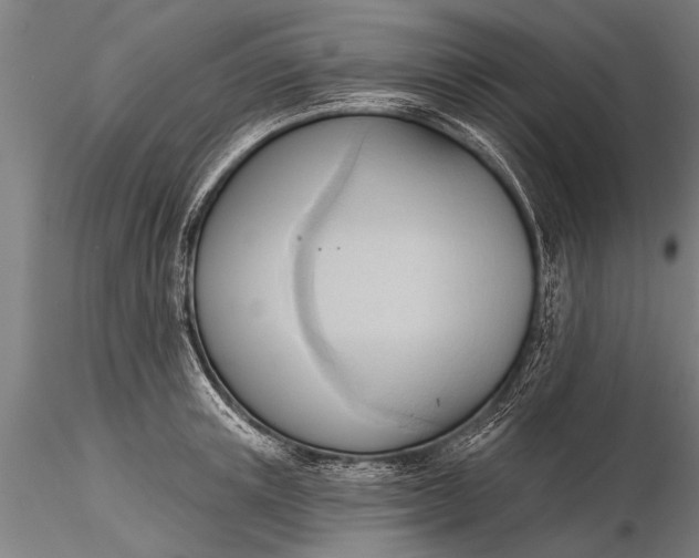 X0000116380851200912161459