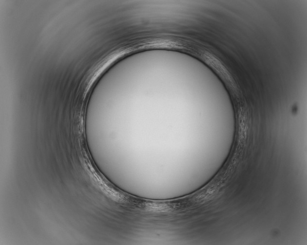 X0000116380852200912161459