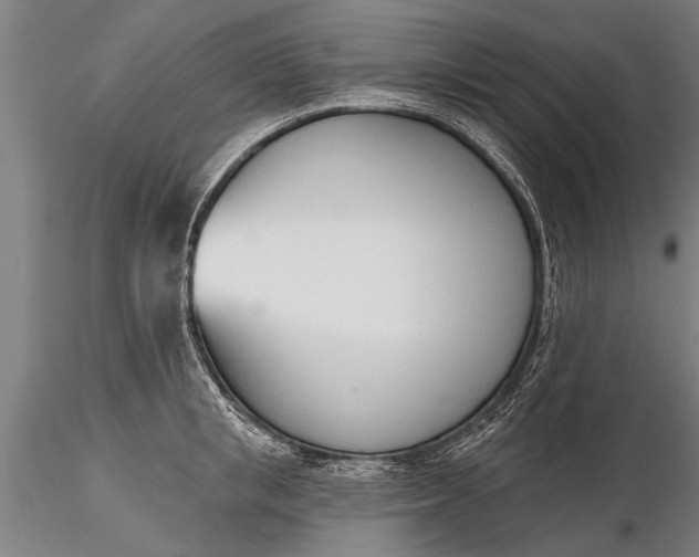 X0000116380853200912161459