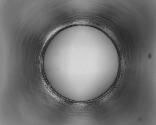 X0000116380854200912161459
