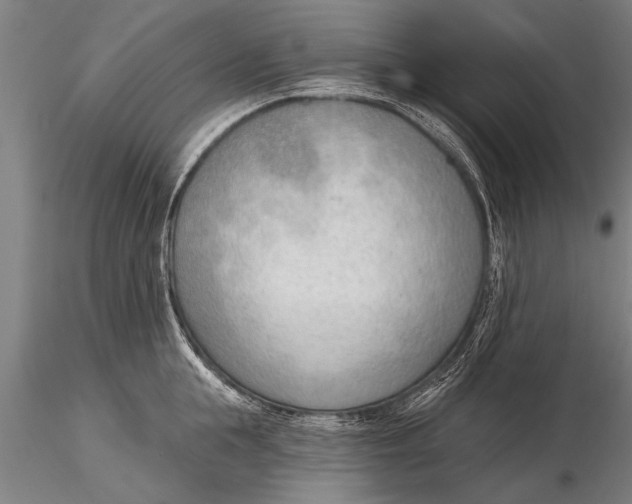 X0000116380855200912161459