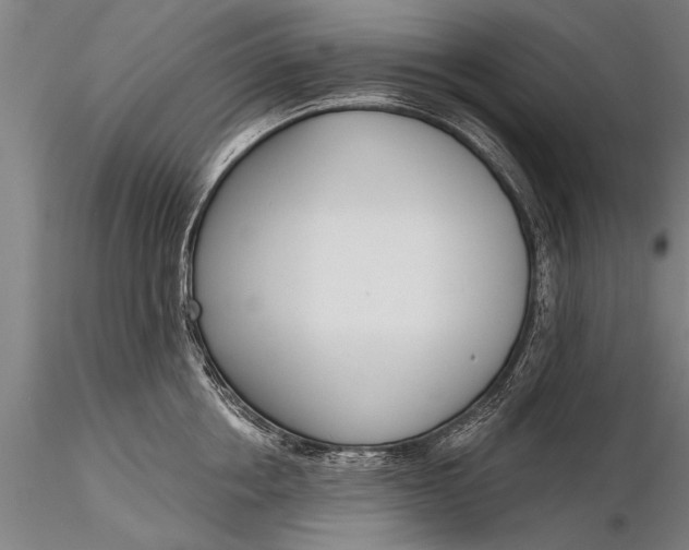 X0000116380858200912161459